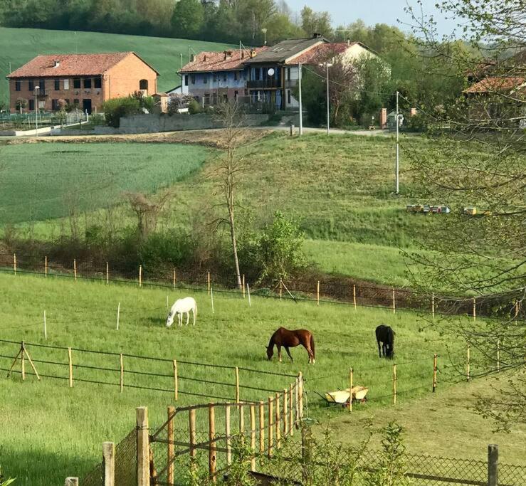 Appartamento In Cascina -La Cascinetta Di Ali- Roatto Екстериор снимка
