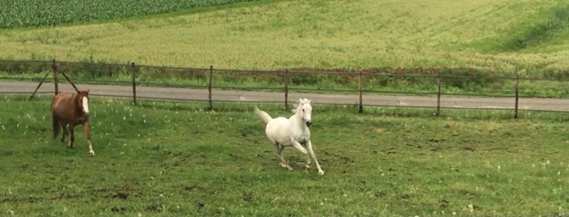 Appartamento In Cascina -La Cascinetta Di Ali- Roatto Екстериор снимка