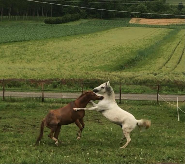 Appartamento In Cascina -La Cascinetta Di Ali- Roatto Екстериор снимка
